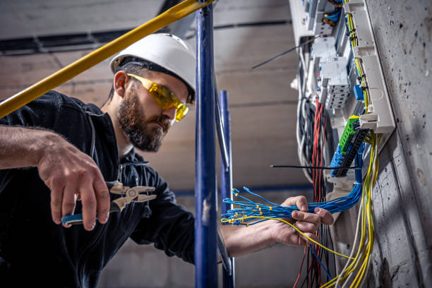 Best Electric Panel Repair  in Erwin, TN