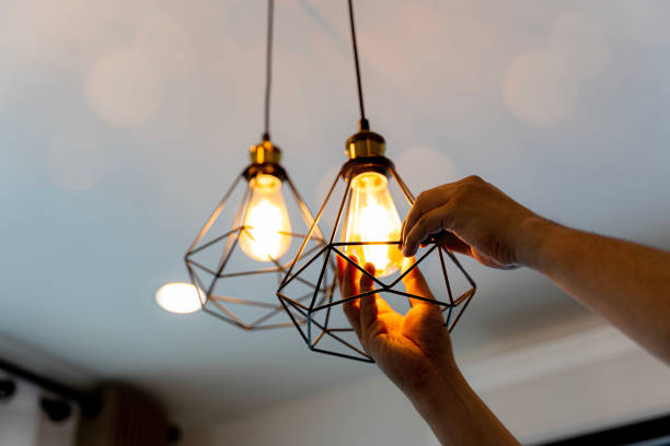 Best Ceiling Fan Installation Electrician  in Erwin, TN